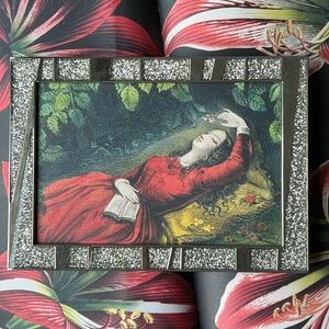 John Derian Bling Small Framed Print Art READER in Woods Red Dress Dreaming